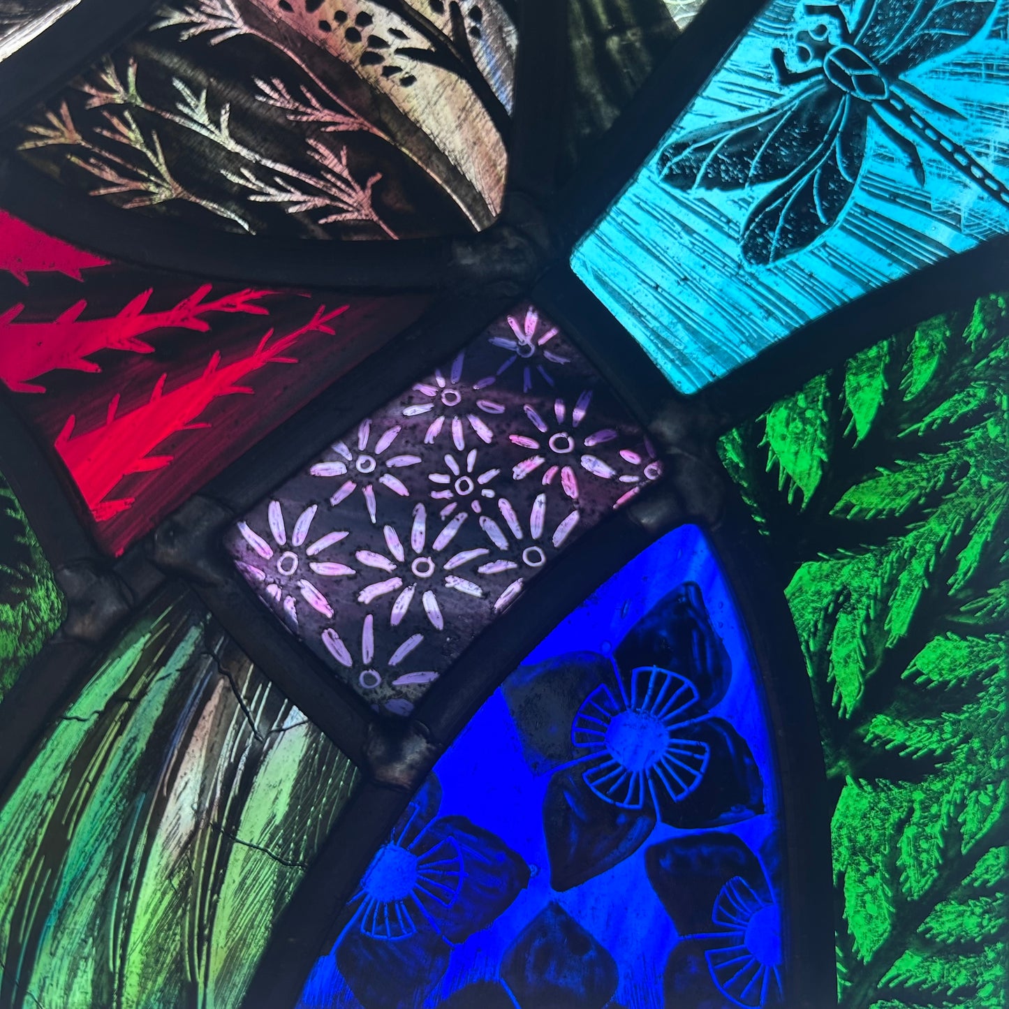 Wren and Dragonfly Stained Glass Panel, Rectangle